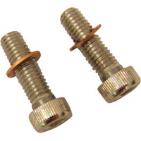 Kit de boulons de fourche FLH/FLX/FX/XL 94-08