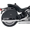 Saddlebags / Cases / Accessories 