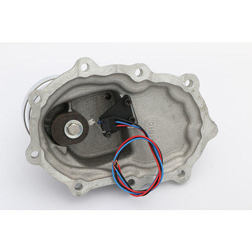 e-Kick Electric Sportster 1991/2003, Raw