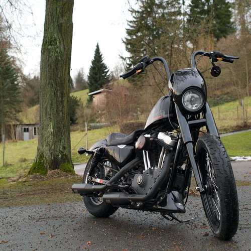 Lowbrow Customs 39 MM Voorvork covers voor Harley Davidson Sportster / Dyna