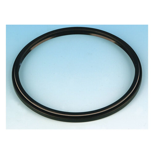 James Gaskets Carter de chaîne arrière / joint de pignon de roue