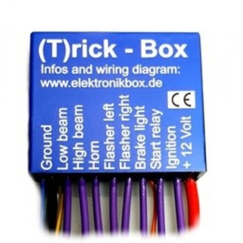 Axel Joost Elektronik Elektronikbox Version T (Trick box)