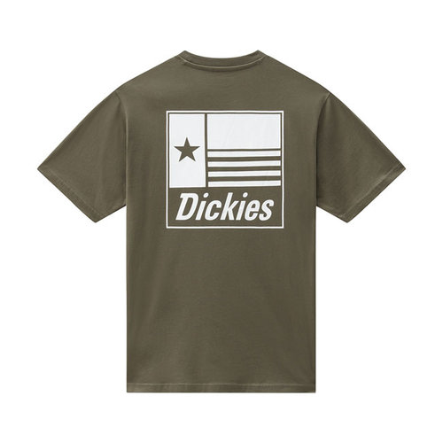 Dickies T-shirt Taylor - Vert
