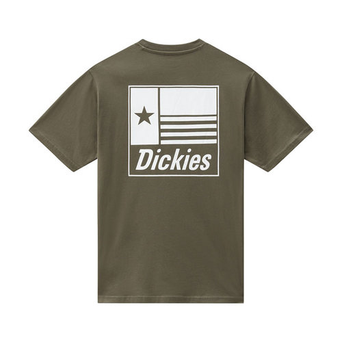 Dickies Taylor T-Shirt - Groen