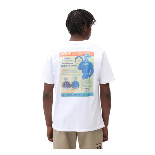 Dickies Success T-Shirt - White