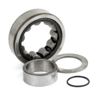 Lager Assy, Cam. Achter. Buitenste voor Harley Davidson Dyna