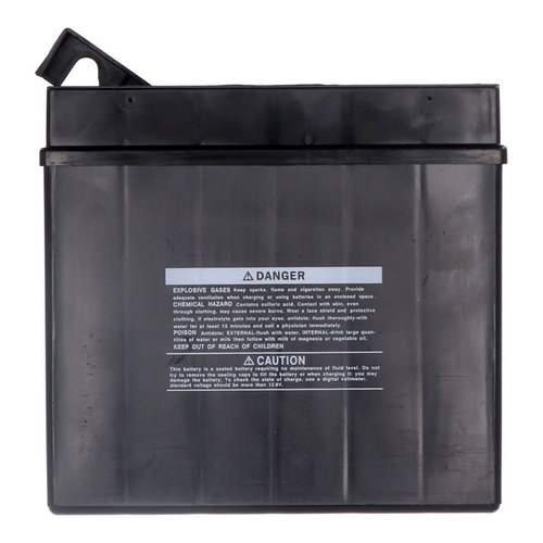 Yuasa AGM Battery YT19BL-WC | BMW