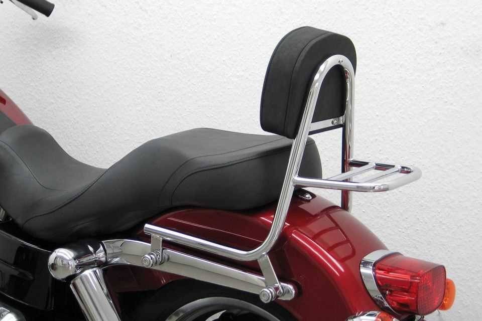 dyna switchback sissy bar