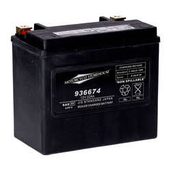 Standaard Serie-Agm Afgedichte Batterij | 12V | 22 Ah | 325 Cc