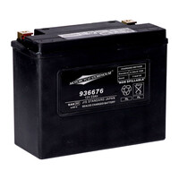 Série Standard - Batterie Scellée Agm | 12 V | 23 Ah | 360 Cc