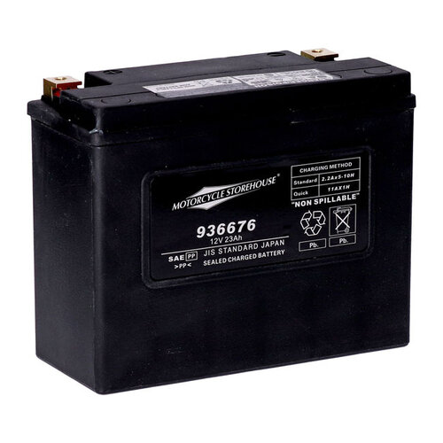 MCS Standaard Serie-Agm Verzegelde Accu | 12V | 23 Ah | 360 Cc