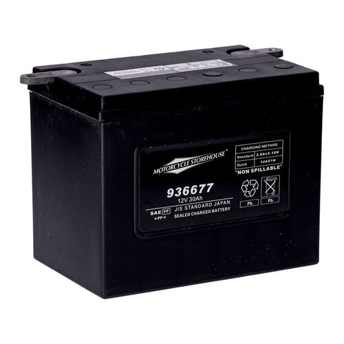 MCS Série Standard - Batterie Scellée Agm | 12 V | 30 Ah | 370 Cc