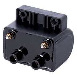 Bobine D'Allumage De Style Oem Tardif | 12 V | 5 Ohms | Noir
