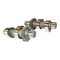 Reaper Chain Driven 543C Camshaft Set