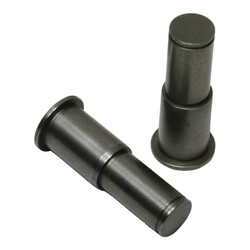 Cam Plate Chain Tensioner Pins