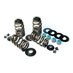 Econo Beehive Valve Spring Kit | .585In Lift