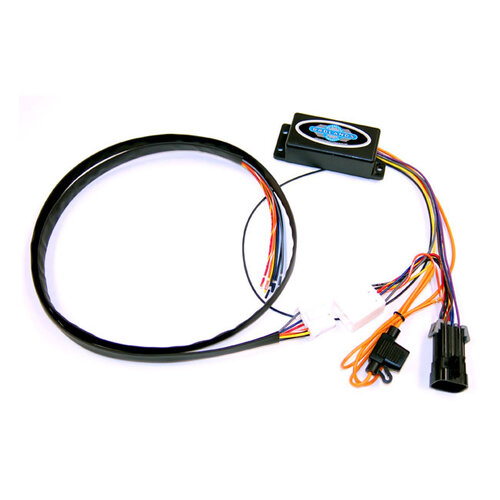 Indian Illuminator For Rear Led Turn Signals
