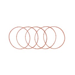 Gasket Derby Cover