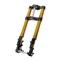 KR8 +2 Inch Inverted Frond End Kit | Black/Gold