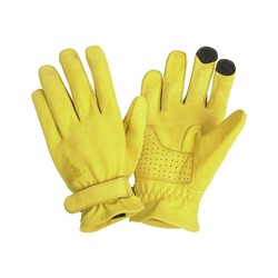 Texas Gloves | Yellow