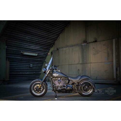 Rick's Motorcycles Black Side Mount License Plate Kit with LED Lighting for 21 x 17 cm Plates