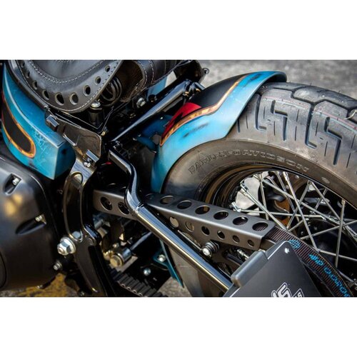 Rick's Motorcycles Riemenschutz Runde Löcher Poliert Edelstahl mit Montagematerial