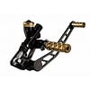 Forward Controls & Pegs
