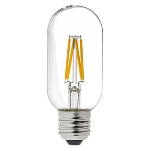 Fantasia Rustic T45 ampoule LED filament E27 4W dimmable