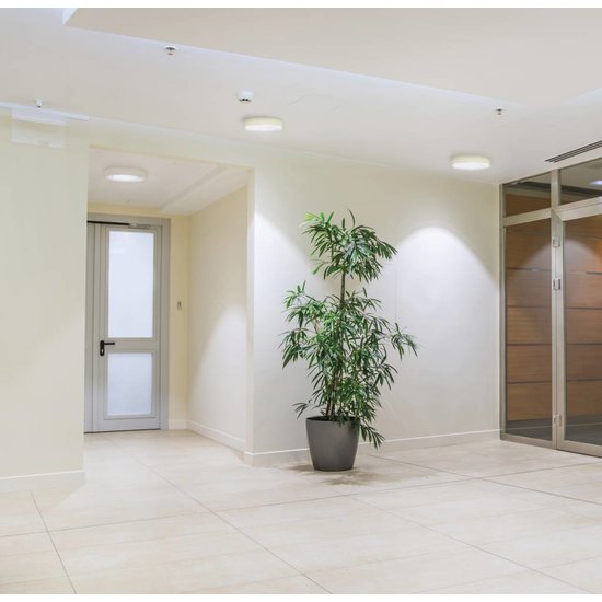 LED paneel plafond opbouw rond 24W 300mm diameter wit