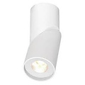 Ceiling light fixture LED cylindric turnable 185mm H 10W
