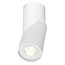 Plafondlamp design 185mm H cilinder LED draaibaar 10W
