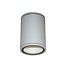 Outdoor ceiling light LED anthracite or grey 132mm H 12W