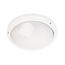 Round outdoor ceiling and wall light, white thermoplastic, 270mm diameter, IP65 and IK10, E27 fitting, 220V