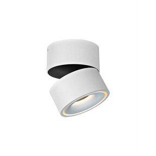 Ceiling light LED white orientable 9W 103mm high