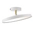 Modern ceiling light LED dimmable round 14 or 24W