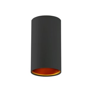 Designspot schwarz oder weiß mit Gold GU10