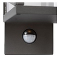 LED buitenlamp met sensor glas