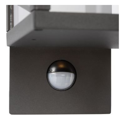 motion sensor light