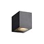 Outdoor down light with spot