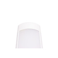 TL LED armatuur 60W 150 cm met kleurbediening en dimbaar