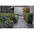 Authentage Rural Authentage garden spotlight with GU10 bronze-chrome-brushed nickel 90cm