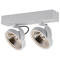Double ceiling lamp black or white incl. 2x AR111 12W 2700K 1386 lm