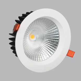 LED recessed lamp 45W saw size 220mm 5 year warranty