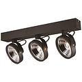Fantasia Pulse-2 black ceiling lamp, 2 adjustable AR111 LED spots 12W 2700K 1386 lumens, dimmable, IP20