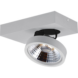 Spot de plafond avec 1 x AR111 12W blanc ou noir