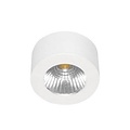 Indigo LED ceiling lamp, round and white, 62mm diameter, 31mm height, 5W / 310 lumens, 3000K warm white, driverless on 220V