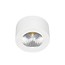 Plafonnier LED Indigo, rond et blanc, diamètre 62mm, hauteur 31mm, 5W / 310 lumens, 3000K blanc chaud, sans driver sur 220V