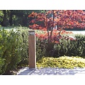 Indigo Windy 3 borne de jardin en teck, 600mm de haut, 100mm de large, IP55, culot E27 (ampoule non incluse)