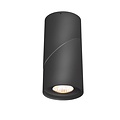 Ceiling light fixture LED cylindric turnable 185mm H 10W