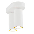 Tweelichts plafondspot in wit metaal, GU10 fitting max. 25W, IP20, lichtbron niet inbegrepen, 17,1 x 20 cm